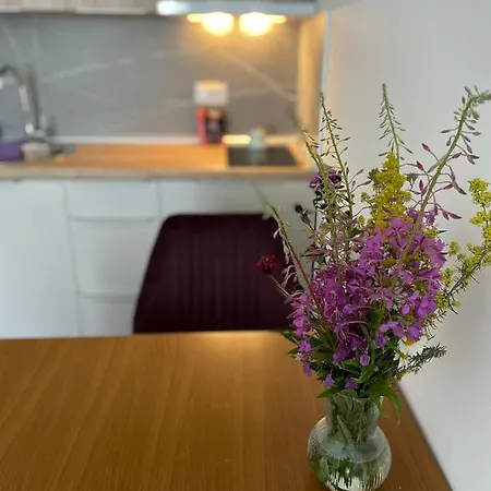 President Kop A 409 - Wellness & Lägenhet *