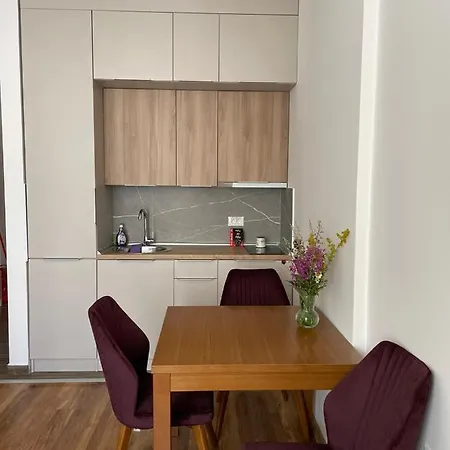 President Kop A 409 - Wellness & Lägenhet Kopaonik