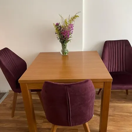 President Kop A 409 - Wellness & Kopaonik