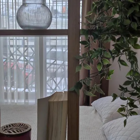 President Kop A 409 - Wellness & Lägenhet Kopaonik