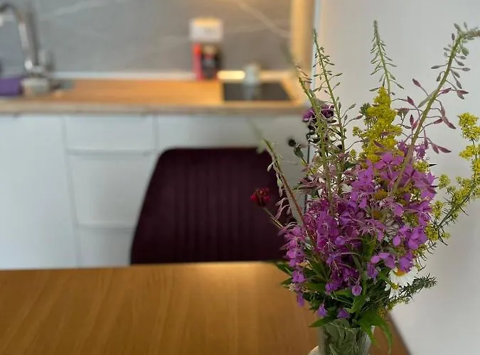 President Kop A 409 - Wellness&spa Apartament *