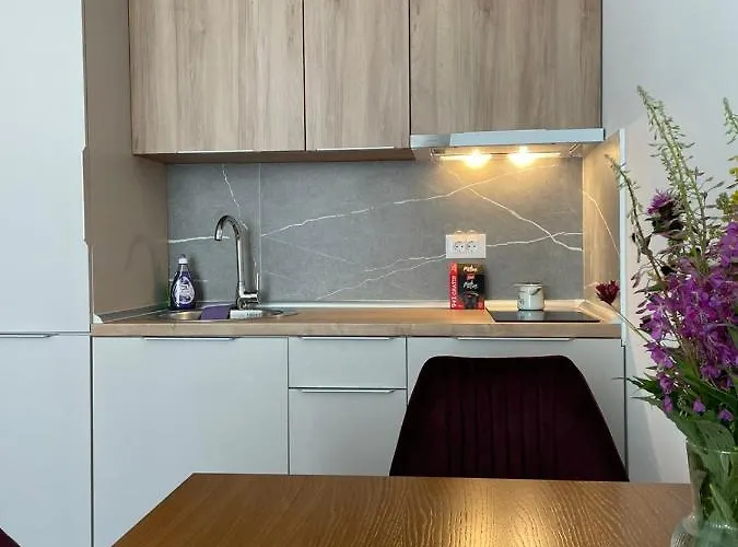 Apartament President Kop A 409 - Wellness&spa Kopaonik